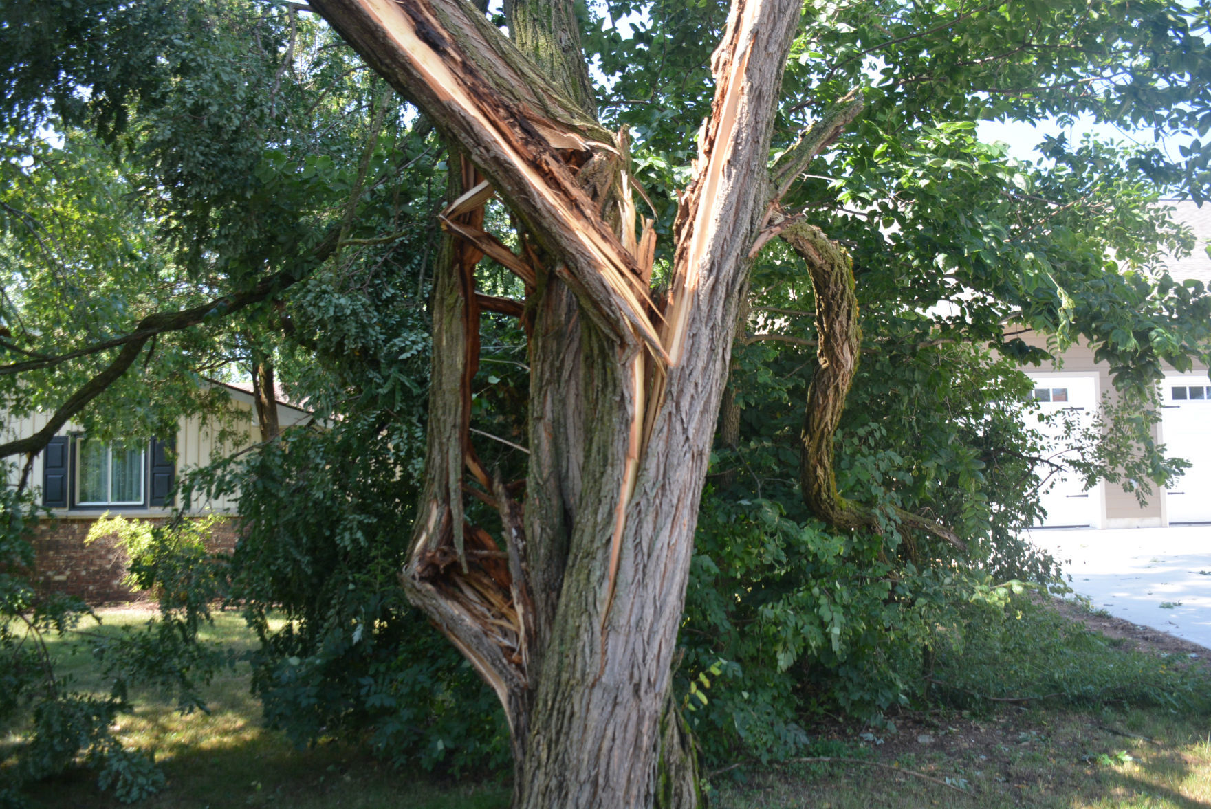 DSC_1295.jpg
